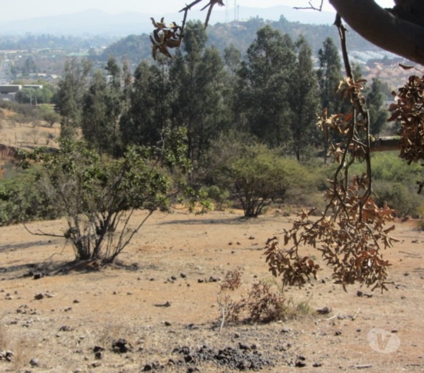 Parcelas en Venta Valparaíso Villa Alemana - Fotos de PARCELA SECTOR EL CARMEN PEÑABLANCA
