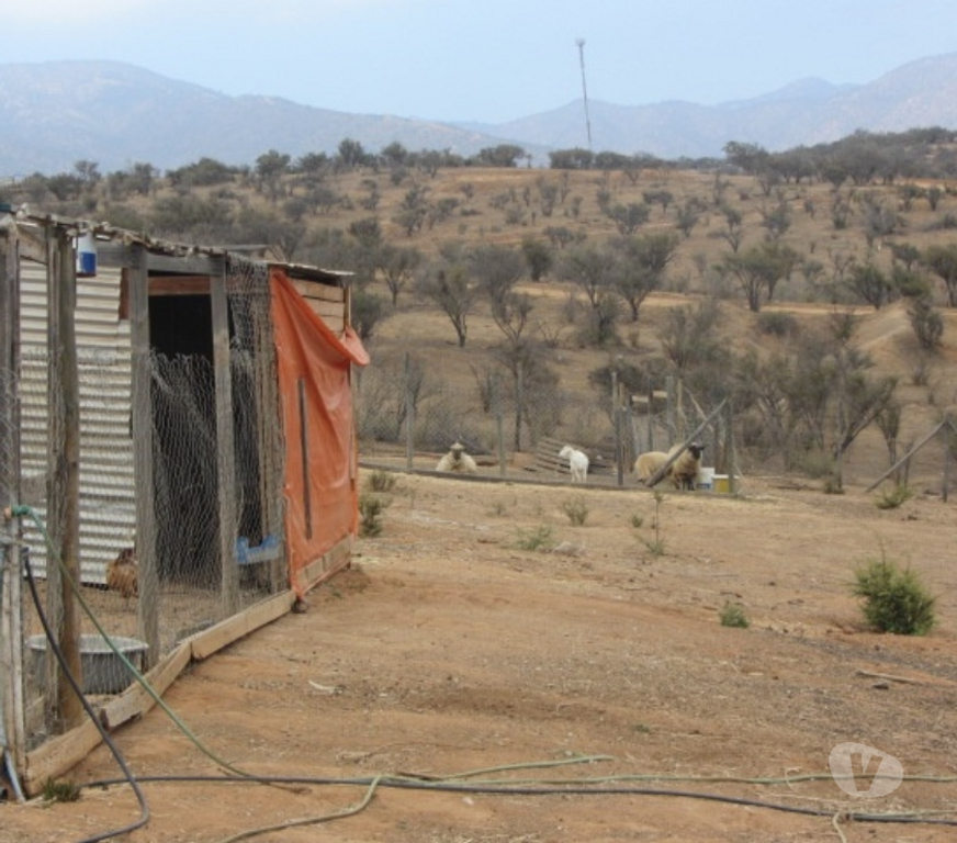 Parcelas en Venta Valparaíso Villa Alemana - Fotos de PARCELA URBANIZADA SECTOR EL PATAGUAL
