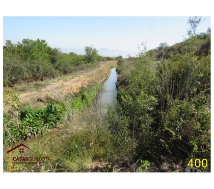 Terrenos en Venta Quillota Quillota - Fotos de Se vende, Excelente terreno agrícola de 8.5 hectáreas.
