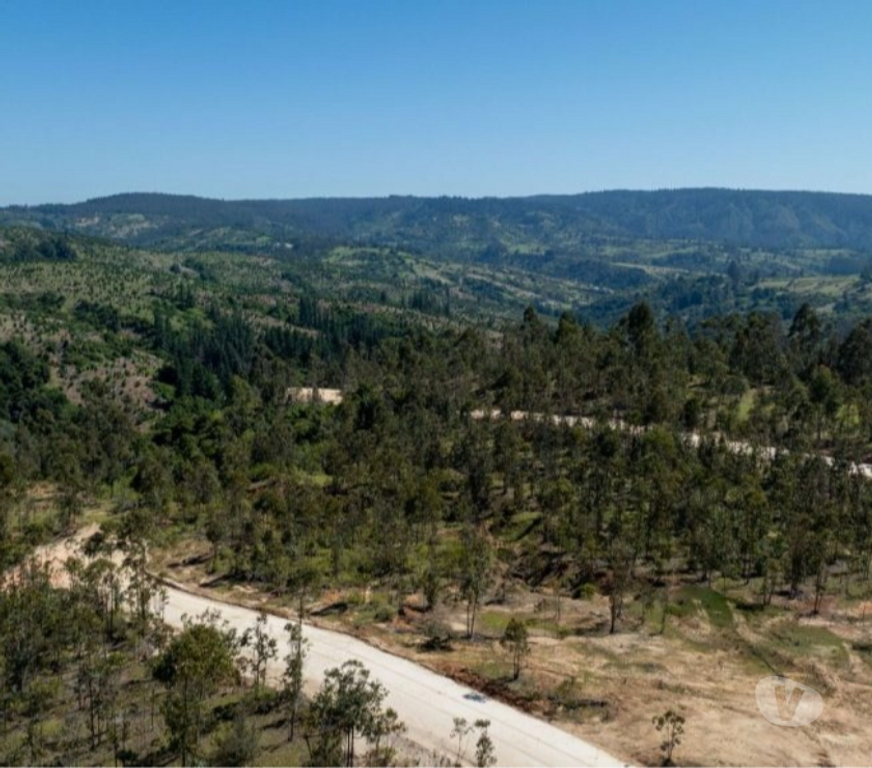 Parcelas en Venta Cardenal Caro Navidad - Fotos de Terreno Con Hermoso Entrono Vive Matanzas
