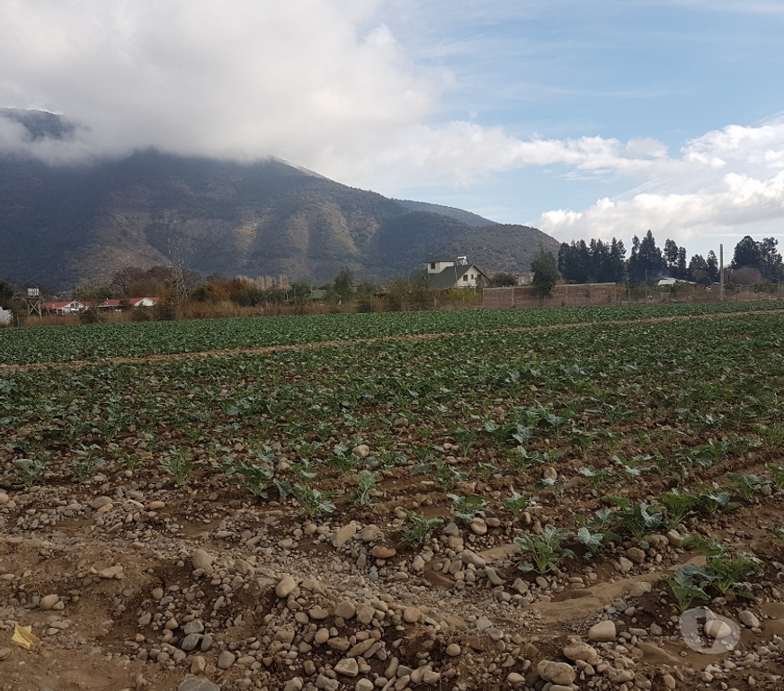 Parcelas en Venta Maipo Paine - Fotos de Venta Parcela 4,59 hectáreas, Águila Norte.