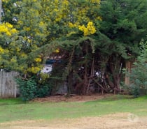 Fotos de CASA COMUNIDAD CONSISTORIAL