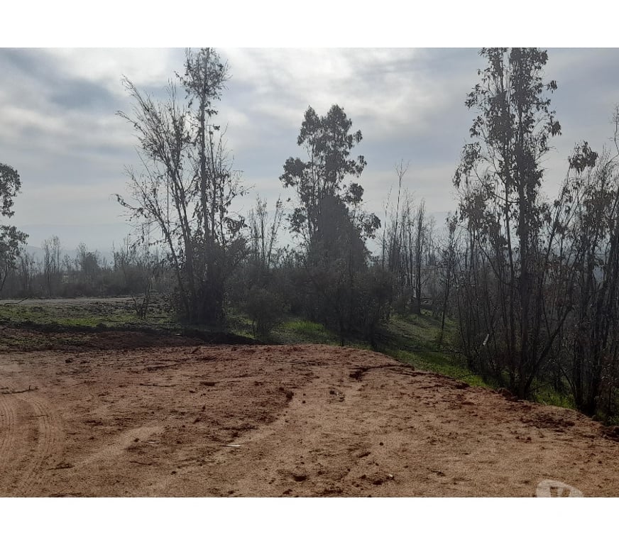 Parcelas en Venta Valparaíso Quilpué - Fotos de PARCELA CON ROL PROPIO LINDA VISTA