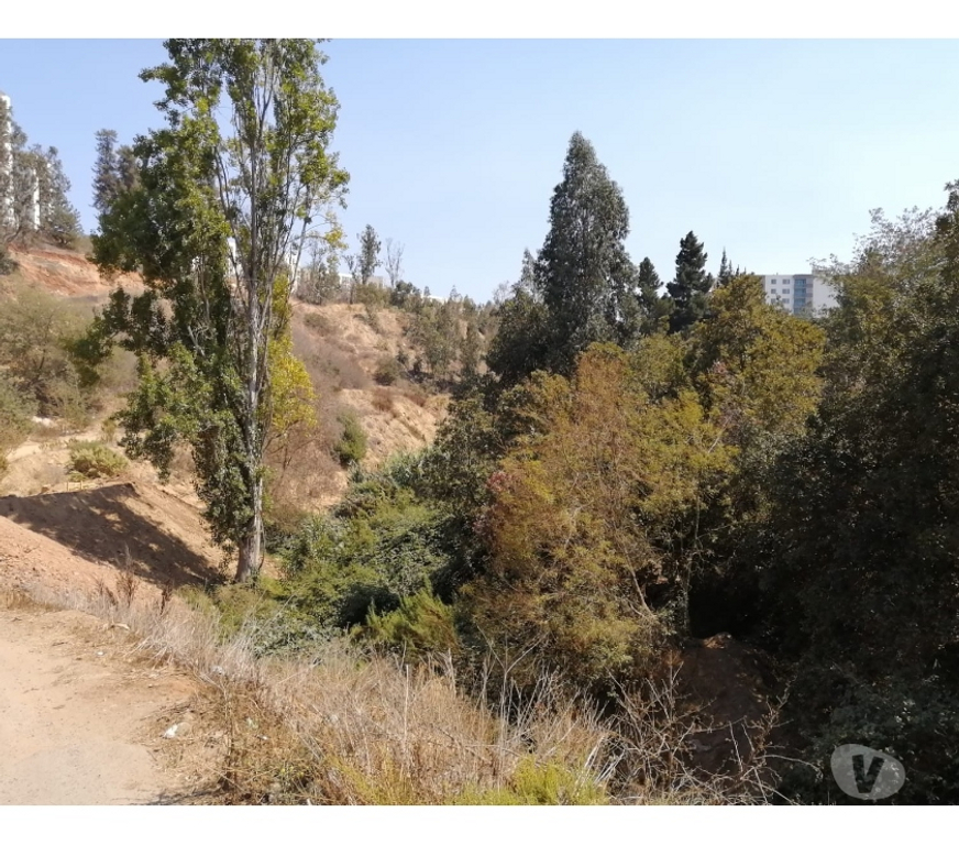 Parcelas en Venta Valparaíso Viña del Mar - Fotos de TERRENO IDEAL INVERSIÓN REÑACA ALTO.
