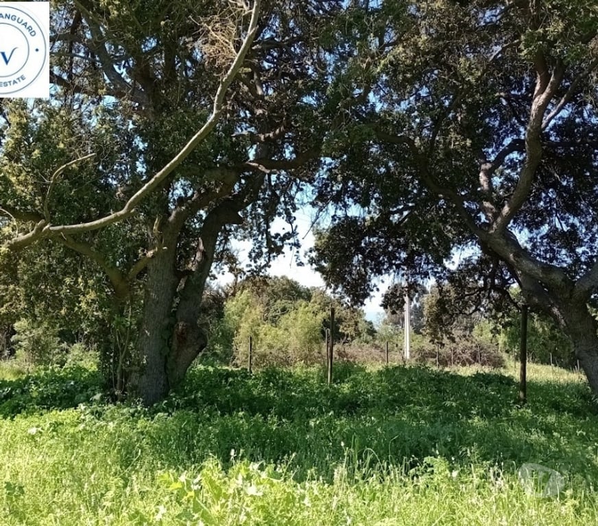Parcelas en Venta Valparaíso Puchuncaví - Fotos de Venta Parcela En Valle Del Estero