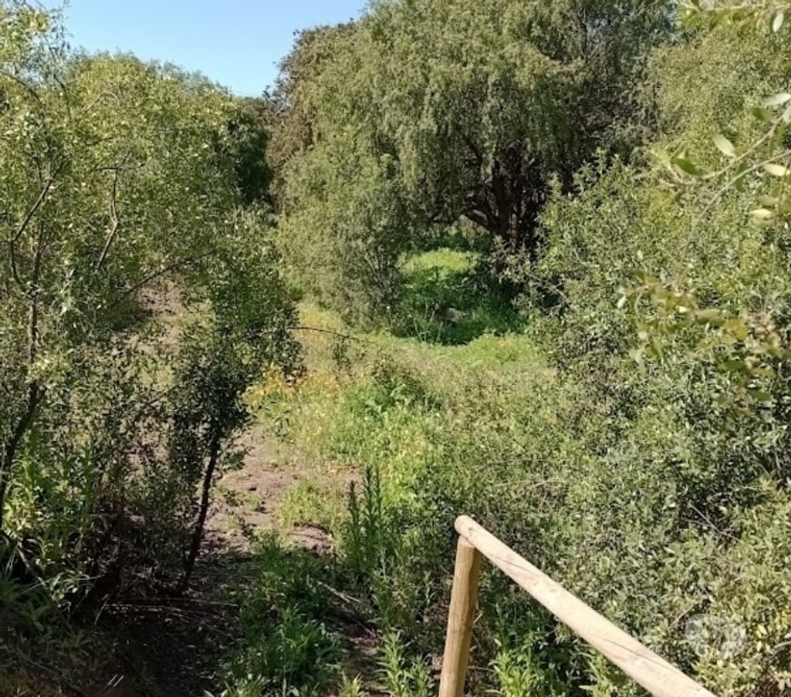 Parcelas en Venta Valparaíso Puchuncaví - Fotos de Venta Parcela En Valle Del Estero
