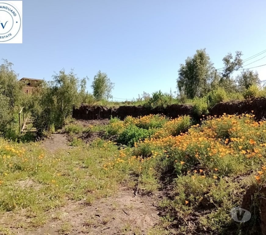 Parcelas en Venta Valparaíso Puchuncaví - Fotos de Venta Parcela En Valle Del Estero