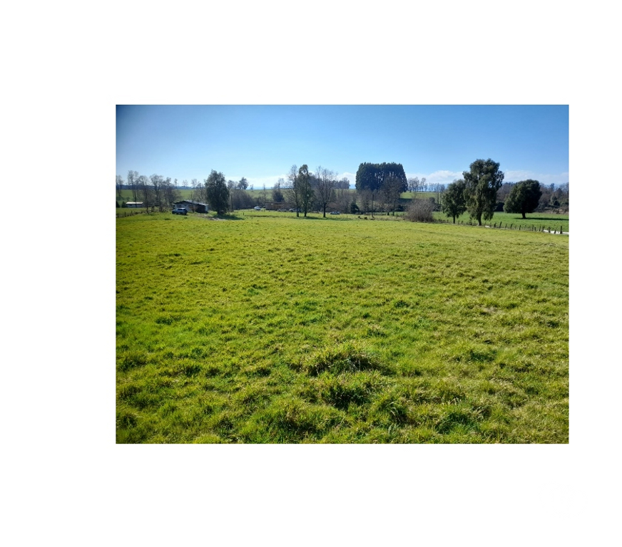 Venta de Haciendas Valdivia Paillaco - Fotos de Parcela en Venta