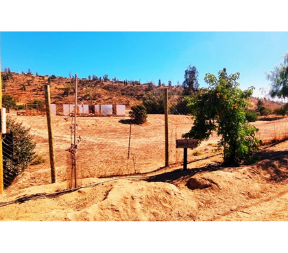 Parcelas en Venta Limache Quillota - Fotos de PARCELA PLANA CON LUZ Y AGUA EN CONDOMINIO