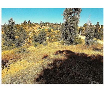 Parcelas Limache Quillota - Fotos de PARCELA EN VENTA CAJON DEL LEBU