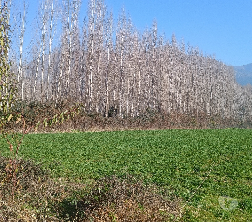 Parcelas en Venta Cachapoal Rancagua - Fotos de GRAN PARCELA DE AGRADO EN IDAHUE, COLTAUCO