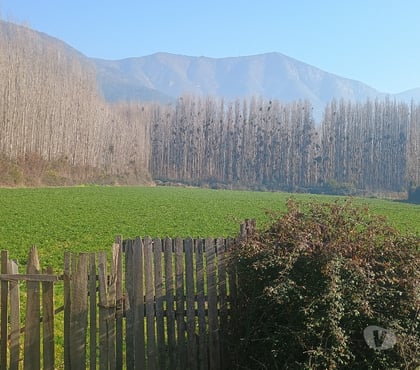 Terrenos-Parcelas Rancagua Cachapoal - Fotos de GRAN PARCELA DE AGRADO EN IDAHUE, COLTAUCO