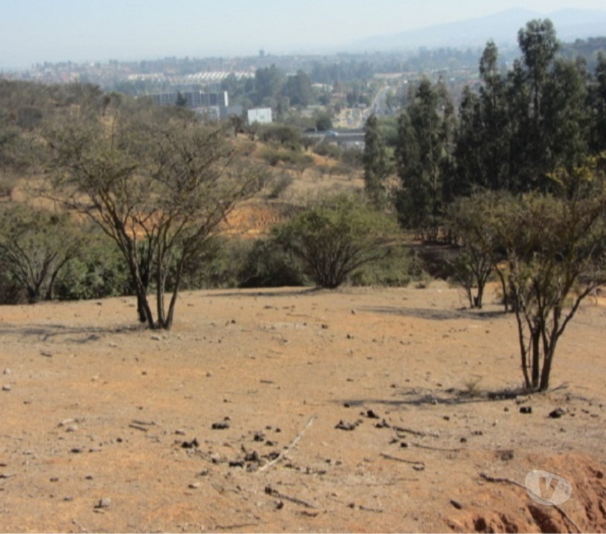 Parcelas en Venta Valparaíso Villa Alemana - Fotos de TERRENO SECTOR EL CARMEN PEÑABLANCA