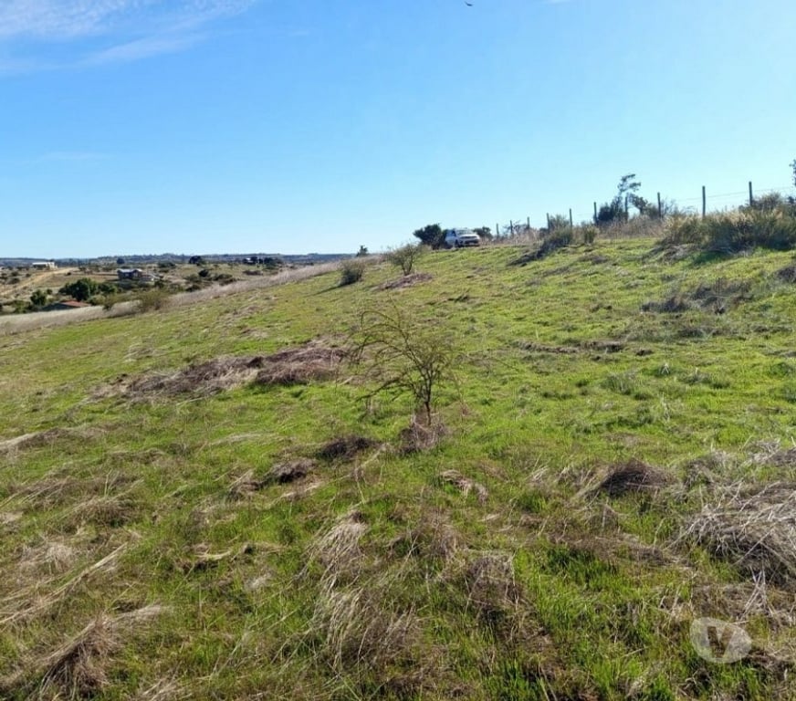 Parcelas en Venta Cardenal Caro Litueche - Fotos de PARCELA 5000 MTS2 LITUECHE