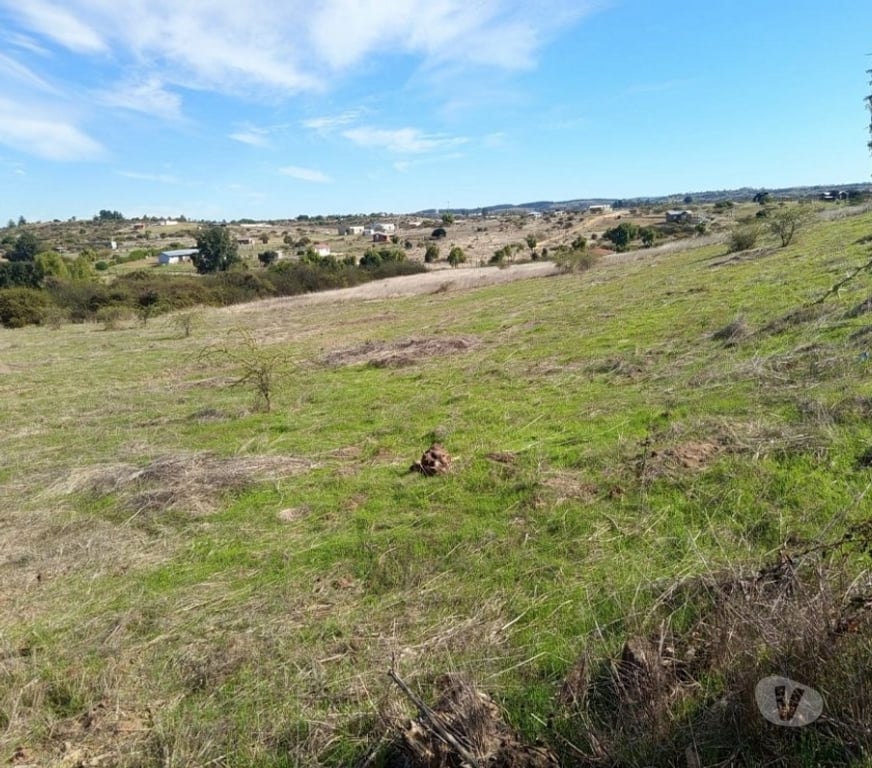 Parcelas en Venta Cardenal Caro Litueche - Fotos de PARCELA 5000 MTS2 LITUECHE