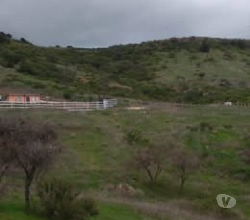 Parcelas en Venta Cardenal Caro Litueche - Fotos de PARDCELA 5000MTS2 CON CASA LITUECHE