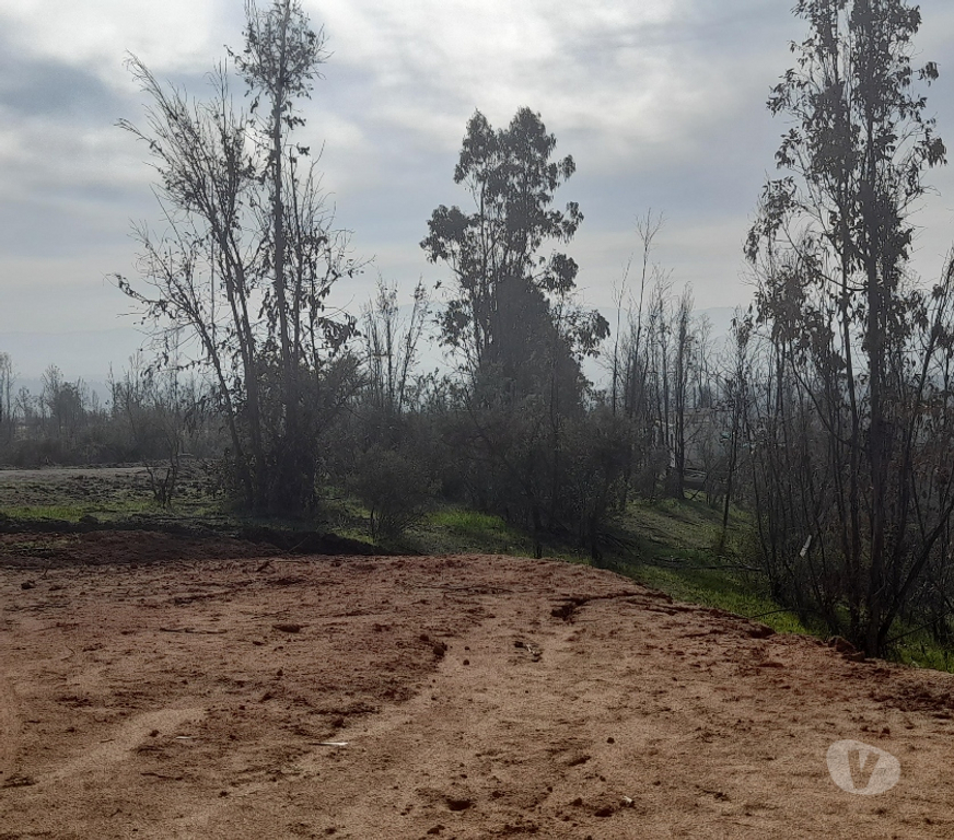 Parcelas en Venta Valparaíso Quilpué - Fotos de PARCELA CON ROL PROPIO LINDA VISTA