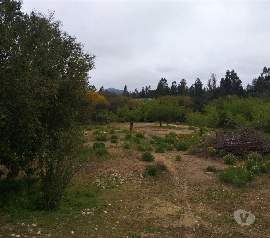 Parcelas en Venta Valparaíso Quilpué - Fotos de PARCELA EN CONDOMONIO SANTA MARIA DE LOS QUILLAYES