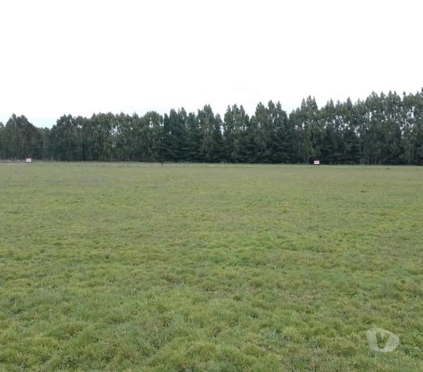 Parcelas en Venta Llanquihue Frutillar - Fotos de Se venden parcelas en Frutillar - Espacio 1