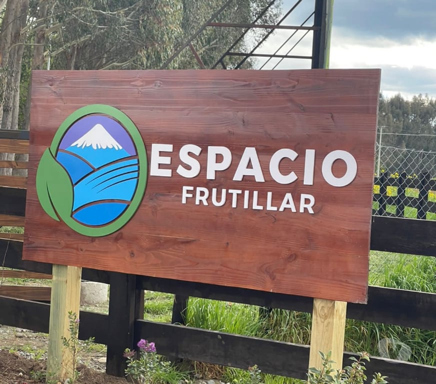 Parcelas en Venta Llanquihue Frutillar - Fotos de Se venden parcelas en Frutillar - Espacio 1