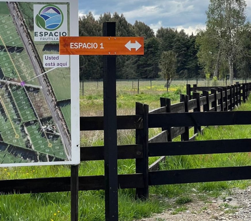 Parcelas en Venta Llanquihue Frutillar - Fotos de Se venden parcelas en Frutillar - Espacio 1