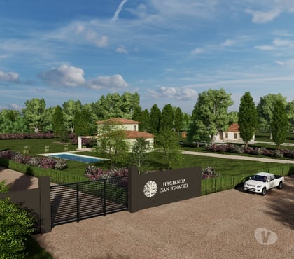 Terrenos en Venta San Ignacio Ñuble - Fotos de Loteo 54 parcelas 5.000 m2 cada una