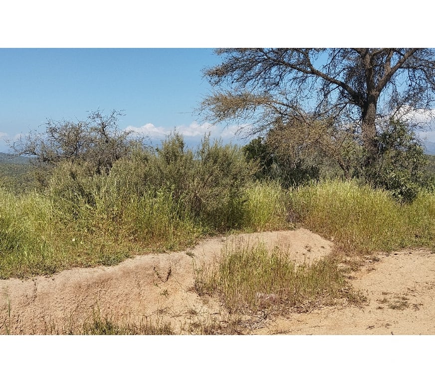 Parcelas en Venta Quillota Limache - Fotos de PARCELA EN CAJON DEL LEBU LIMACHE