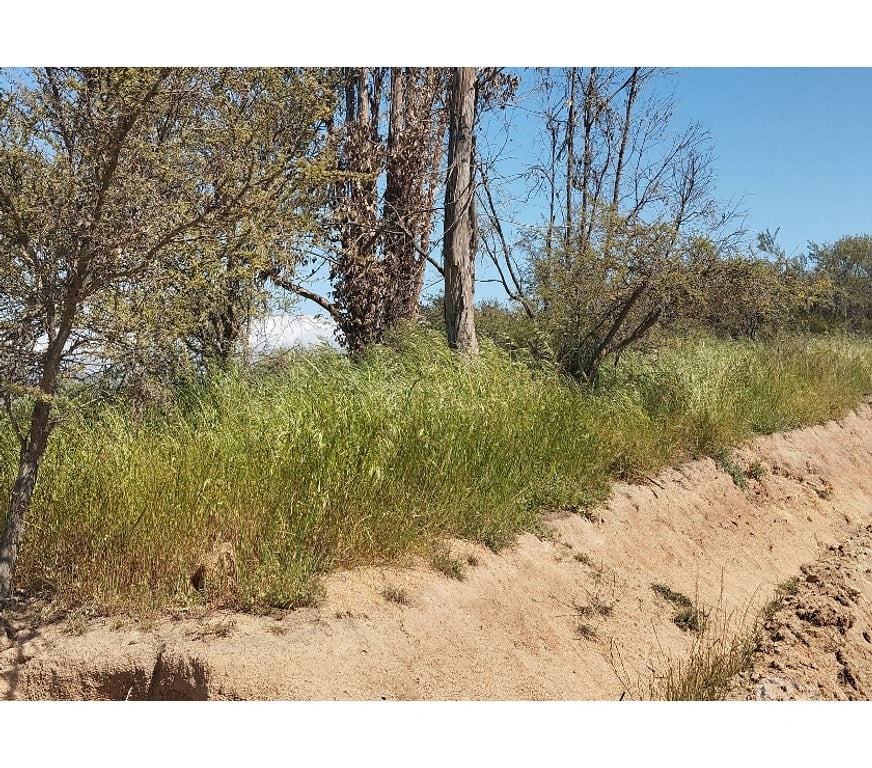 Parcelas en Venta Quillota Limache - Fotos de PARCELA EN CAJON DEL LEBU LIMACHE