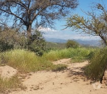 PARCELA EN CAJON DEL LEBU LIMACHE