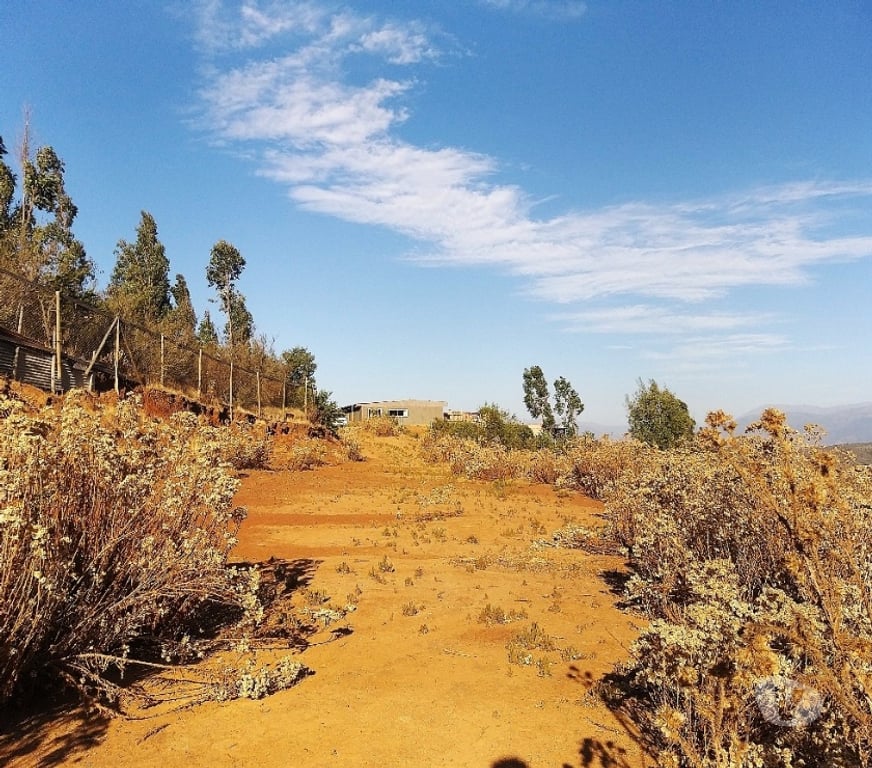 Parcelas en Venta Quillota Limache - Fotos de PARCELA 5000 MT2 FUNDO EL LEBU