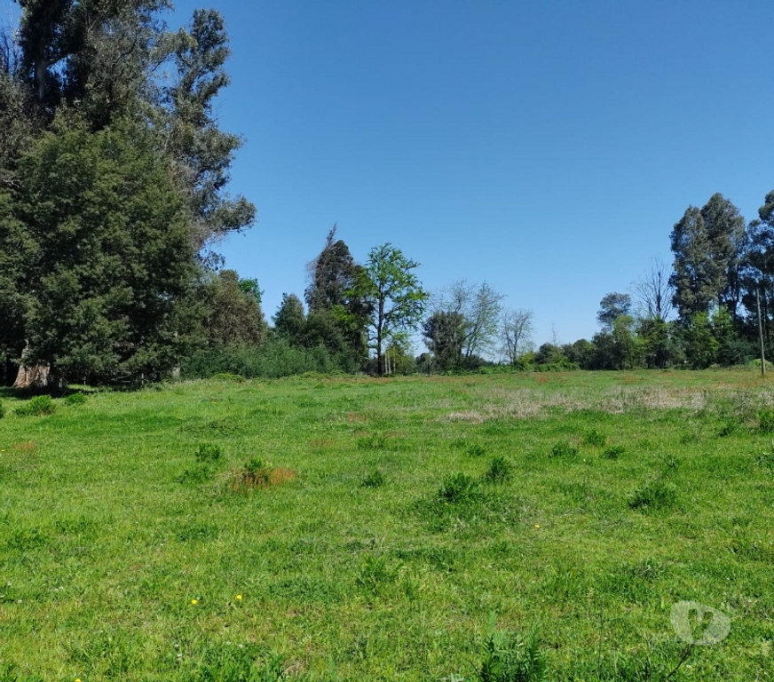 Bienes Raices Ñuble Chillán - Fotos de PARCELAS PLANAS CERCA DE CHILLÁN 5000