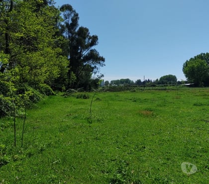 Bienes Raices Chillán Ñuble - Fotos de PARCELAS PLANAS CERCA DE CHILLÁN 5000