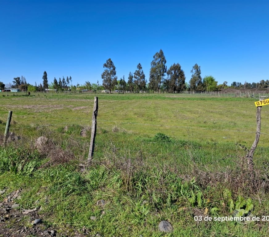 Parcelas en Venta Ñuble Chillán - Fotos de VENDO PARCELA EN ORO VERDE, SECTOR VEGA DE REYES