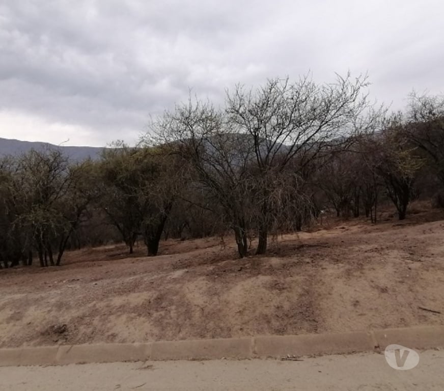 Parcelas en Venta Quillota Hijuelas - Fotos de TERRENO EN PENDIENTE SUAVE, OASIS DE LA CAMPANA