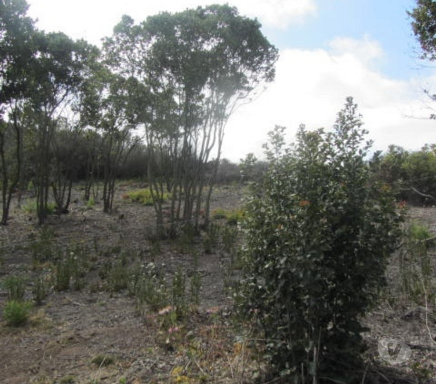 Parcelas en Venta Valparaíso Quintero - Fotos de PARCELA EN SECTOR CAMPOMAR IV, QUINTERO