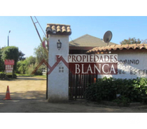 Fotos de PARCELA CON DOS CABAÑAS SECTOR VALLE DEL ESTERO QUINTERO