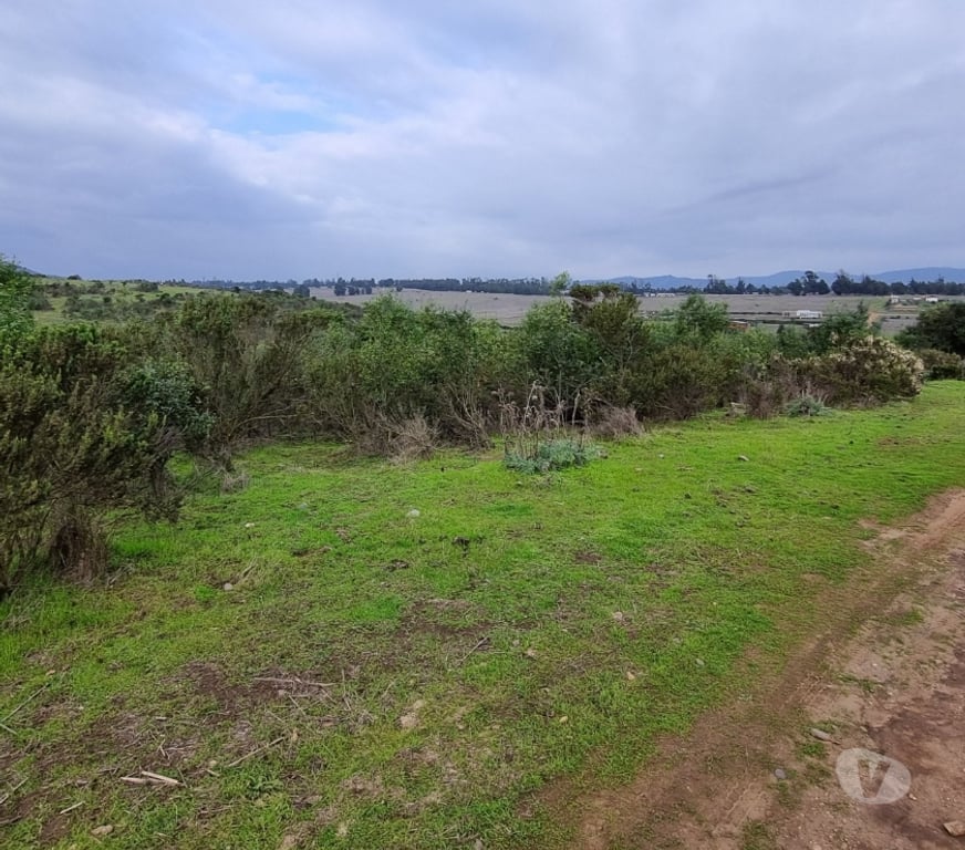 Parcelas en Venta Valparaíso Concón - Fotos de se venden parcelas preurbanas desde 1261 m2 en Mantagua