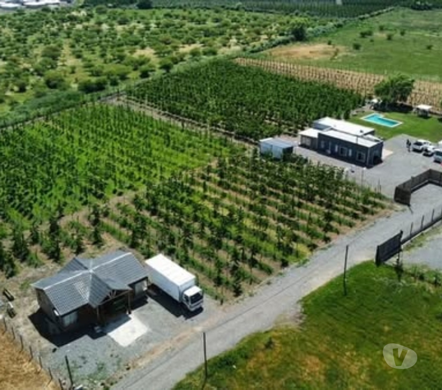 Venta de Haciendas Curicó Rauco - Fotos de Vendo Parcela en Rauco
