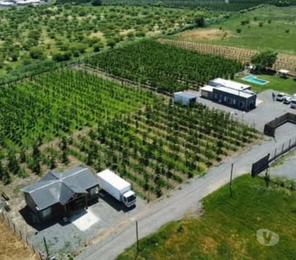Fundos en Venta Rauco Curicó - Fotos de Vendo Parcela en Rauco