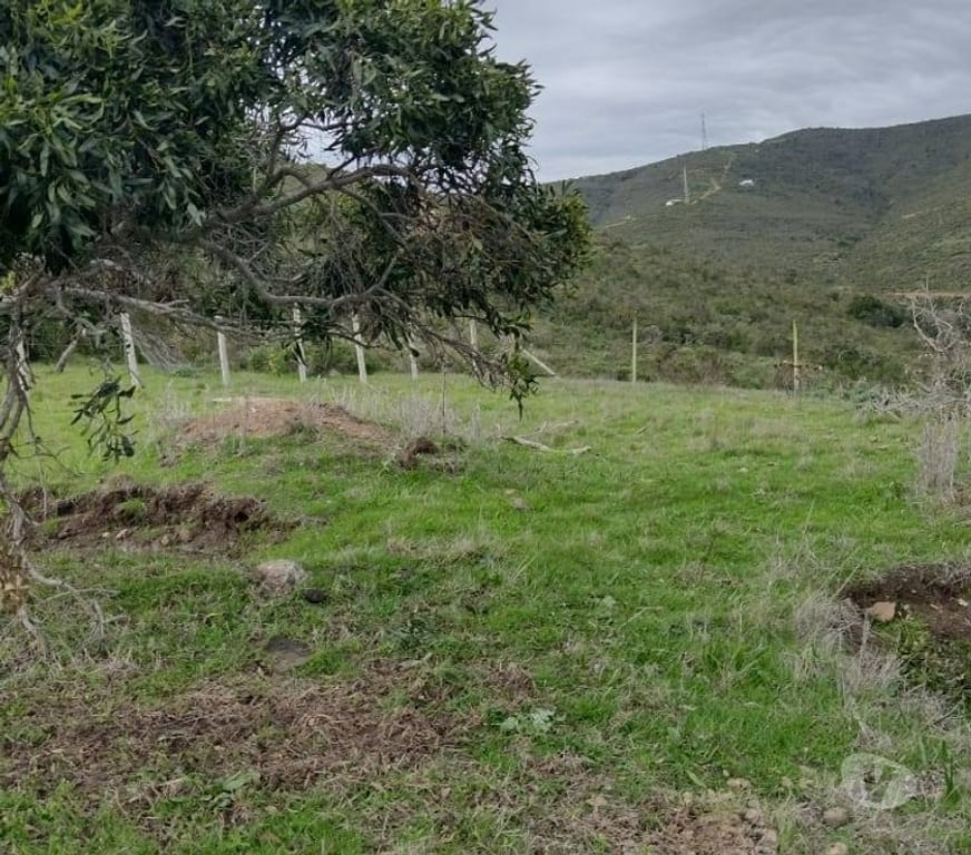 Parcelas en Venta Petorca La Ligua - Fotos de Gran parcela 14.273 m2 La Ligua