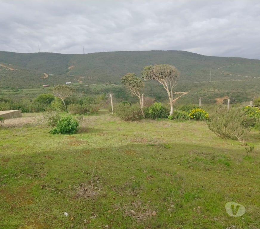 Parcelas en Venta Petorca La Ligua - Fotos de Gran parcela 14.273 m2 La Ligua