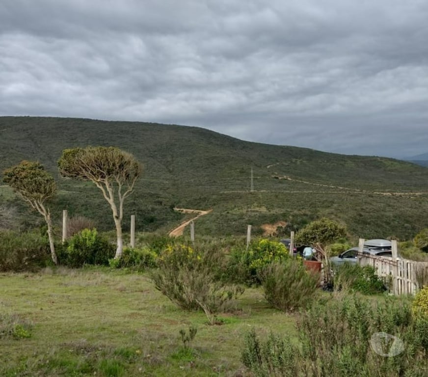 Parcelas en Venta Petorca La Ligua - Fotos de Gran parcela 14.273 m2 La Ligua