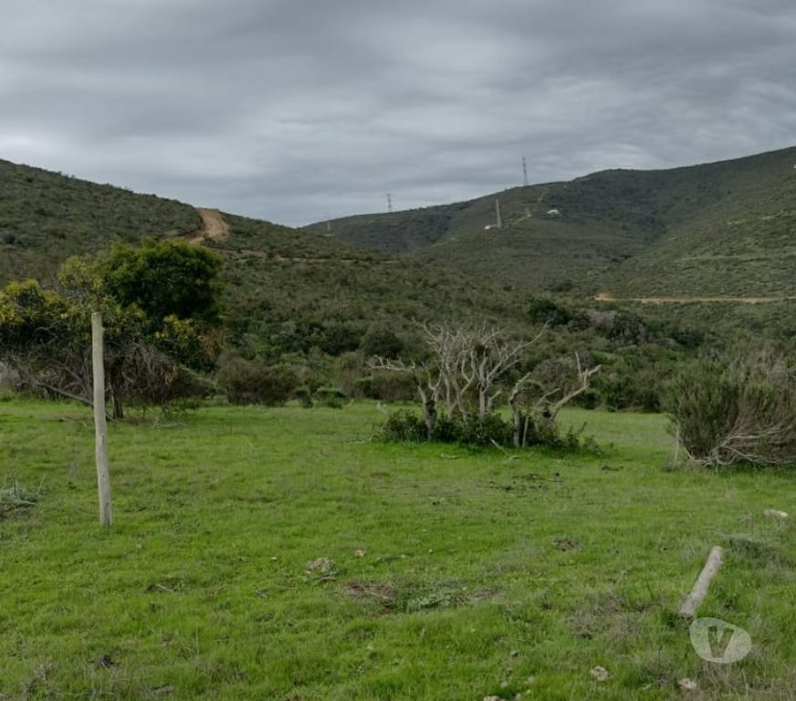 Parcelas en Venta Petorca La Ligua - Fotos de Gran parcela 14.273 m2 La Ligua