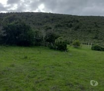 Fotos de Gran parcela 14.273 m2 La Ligua