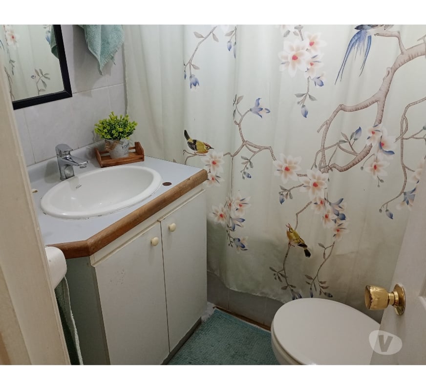 Bienes Raices Concepción Concepción - Fotos de Inigualable, amplia…espacio para toda la familia.