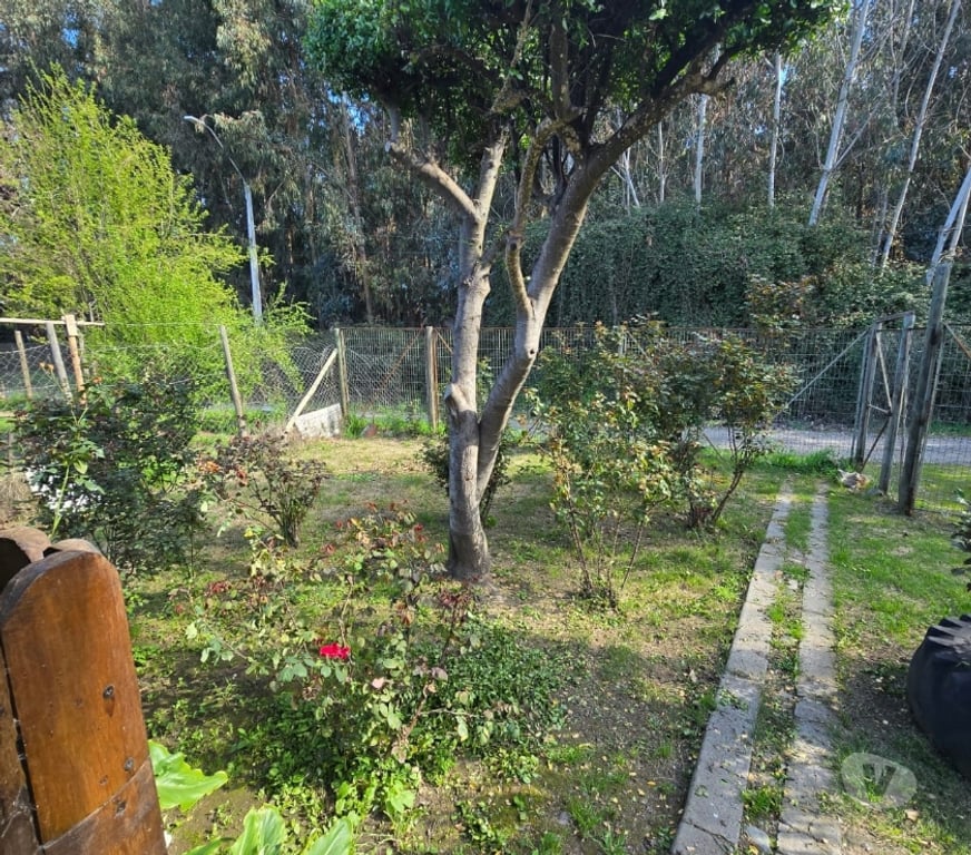 Bienes Raices Cachapoal Coltauco - Fotos de Hermosa Casa en Coltauco