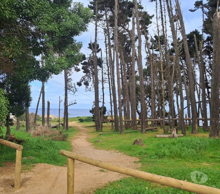 Bienes Raices San Antonio Algarrobo - Fotos de se venden dos casas
