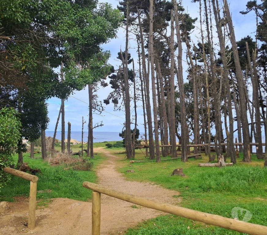 Bienes Raices San Antonio Algarrobo - Fotos de se venden dos casas