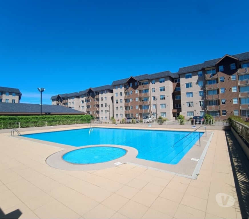 Arriendos Cautín Villarrica - Fotos de Hermoso departamento en Villarrica