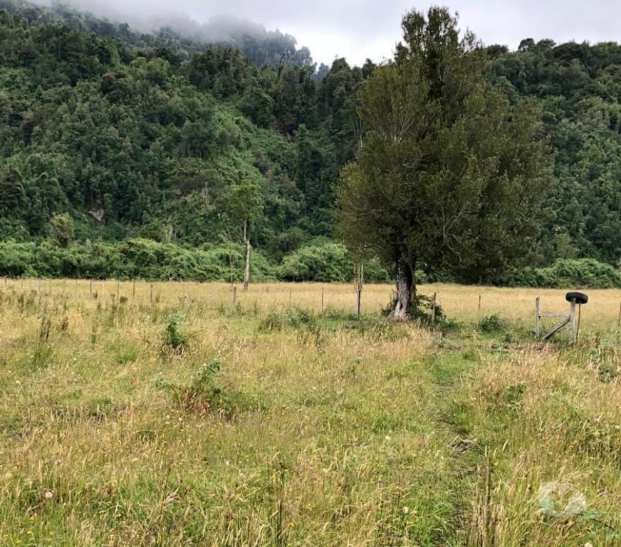 Parcelas en Venta Ranco Lago Ranco - Fotos de Valle Riñinahue, para disfrutar la vida en familia